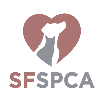 AlliesIcon-SFSPCA SF SPCA logo